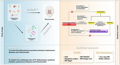 The causal relationship between autoimmune diseases and rhinosinusitis, and the mediating role of inflammatory proteins: a Mendelian randomization study